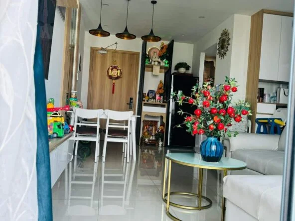 Bán căn hộ 1PN FULL Nội Thất khu Emerald Celadon City Tân Phú