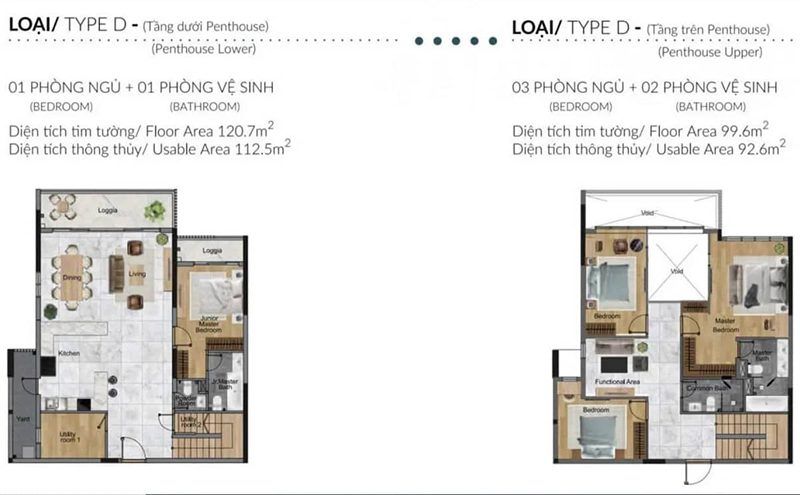 Mặt bằng Penhouse loại D khu Diamond Alnata Plus Celadon City